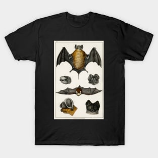 Vintage Bat T-Shirt